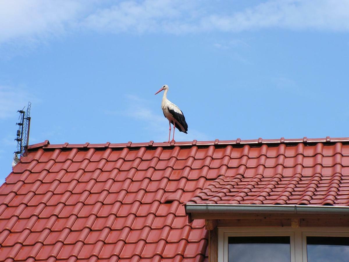 Winnica Na Lesnej Polanie Zabor Exterior foto